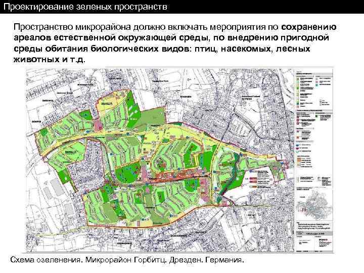 Проектирование зеленых пространств Пространство микрорайона должно включать мероприятия по сохранению ареалов естественной окружающей среды,