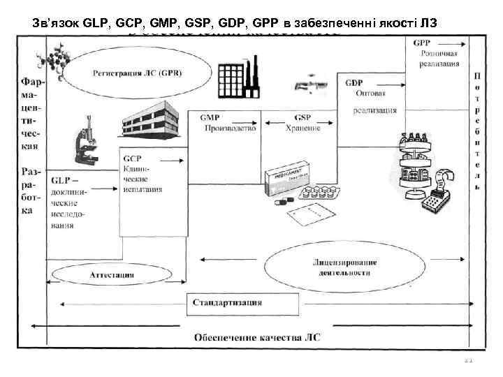 Зв’язок GLP, GCP, GMP, GSP, GDP, GPP в забезпеченні якості ЛЗ 21 