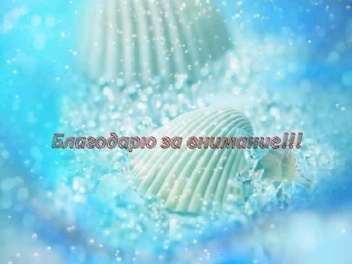 Благодарю за внимание!!! 