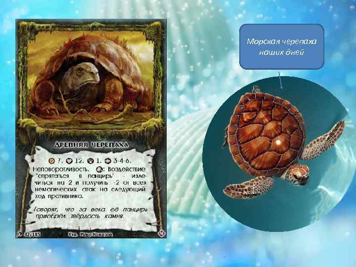 Морская черепаха наших дней 