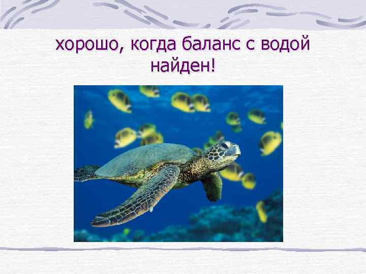 хорошо, когда баланс с водой найден! 