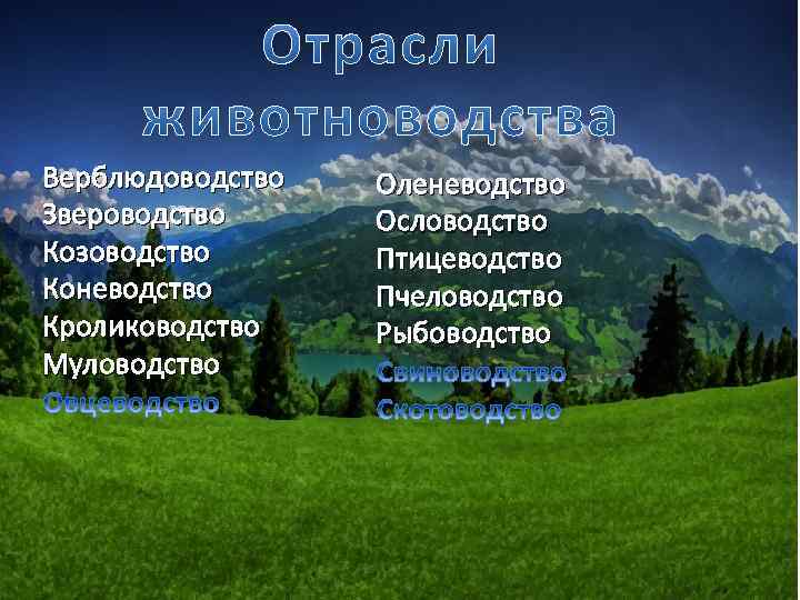 Верблюдоводство Звероводство Козоводство Коневодство Кролиководство Муловодство Оленеводство Ословодство Птицеводство Пчеловодство Рыбоводство 