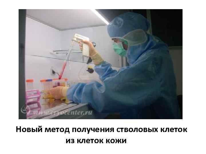 Новый метод получения стволовых клеток из клеток кожи 