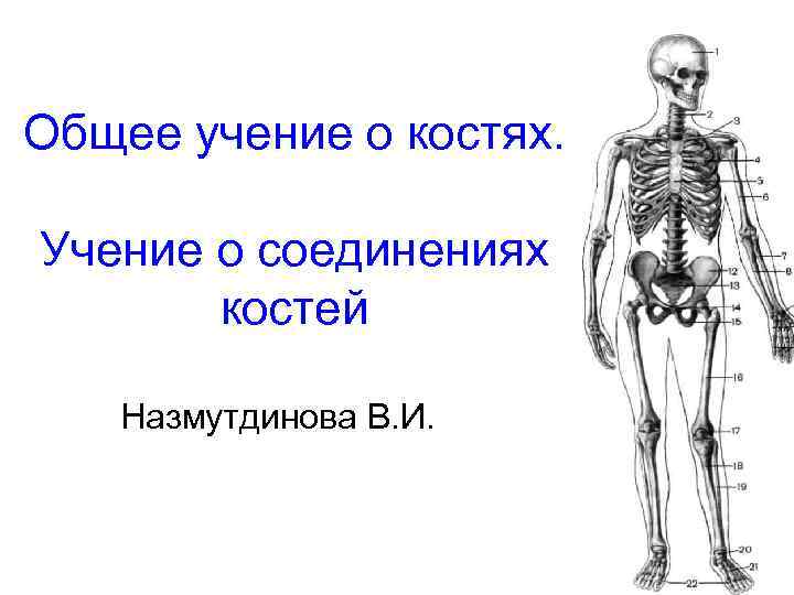 Общее учение о костях. Учение о соединениях костей Назмутдинова В. И. 