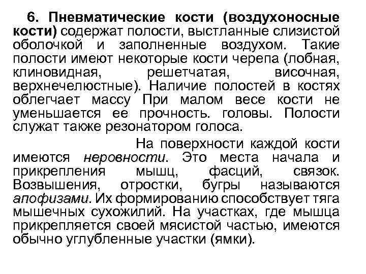 6. Пневматические кости (воздухоносные кости) содержат полости, выстланные слизистой оболочкой и заполненные воздухом. Такие