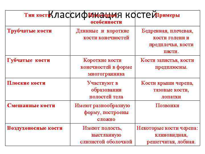 Некоторые Примеры Классификация костей особенности Тип кости Трубчатые кости Губчатые кости Плоские кости Смешанные