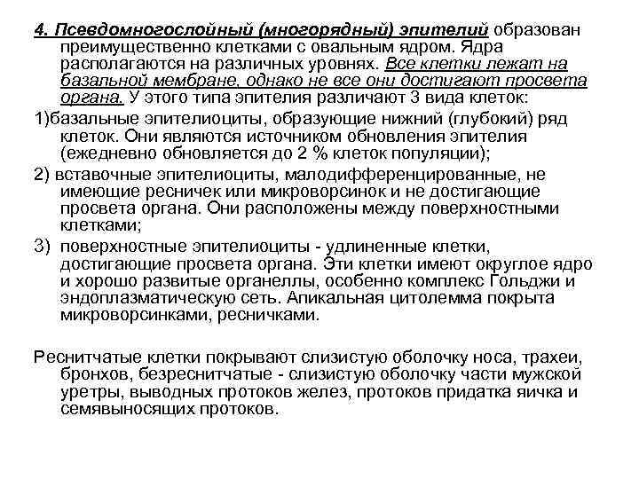 4. Псевдомногослойный (многорядный) эпителий образован преимущественно клетками с овальным ядром. Ядра располагаются на различных