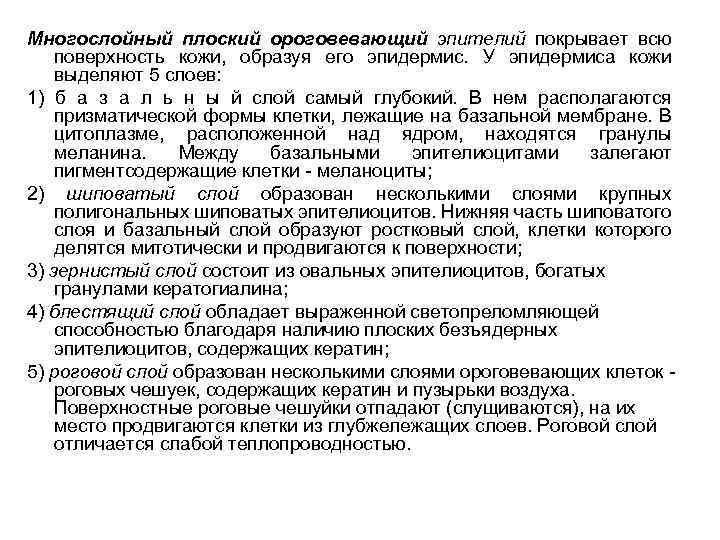 Многослойный плоский ороговевающий эпителий покрывает всю поверхность кожи, образуя его эпидермис. У эпидермиса кожи