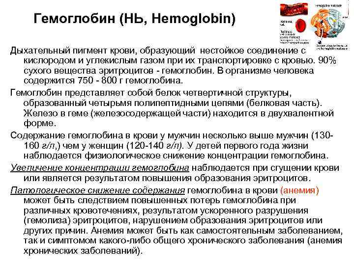 Гемоглобин (НЬ, Hemoglobin) Дыхательный пигмент крови, образующий нестойкое соединение с кислородом и углекислым газом