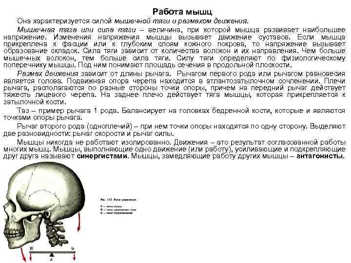 Контакт карина назмутдинова ижевск