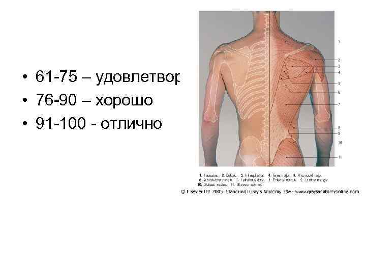  • 61 -75 – удовлетворительно • 76 -90 – хорошо • 91 -100