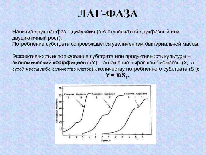 Наличие двух. Рост популяции лаг фаза. Лаг-фаза (фаза задержки размножения). Лаг-фаза роста популяции микроорганизмов характеризуется. Лаг фаза микроорганизмов.