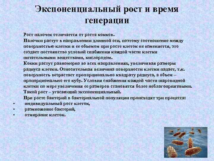 Экспоненциальный рост и время генерации • • • Рост палочек отличается от роста кокков.