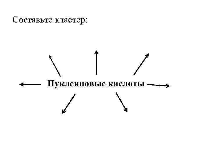 Составить кластер пушкина. Кластер нуклеиновые кислоты. Схема кластер о нуклеиновых кислотах. Кластер по теме нуклеиновые кислоты. Кластер по нуклеиновым кислотам.