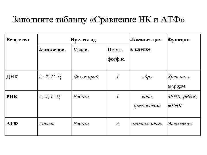 Нуклеиновые кислоты тест