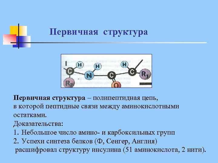 Первичная структура – полипептидная цепь, в которой пептидные связи между аминокислотными остатками. Доказательства: 1.