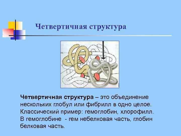 Четвертичная структура – это объединение нескольких глобул или фибрилл в одно целое. Классический пример:
