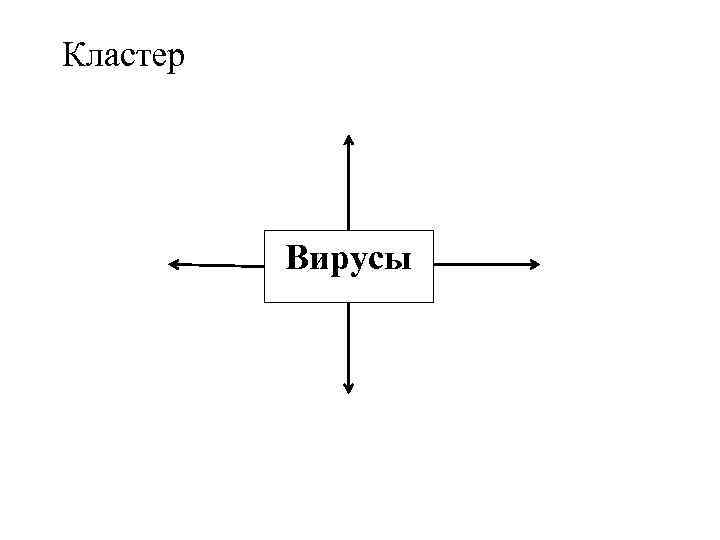 Кластер Вирусы 