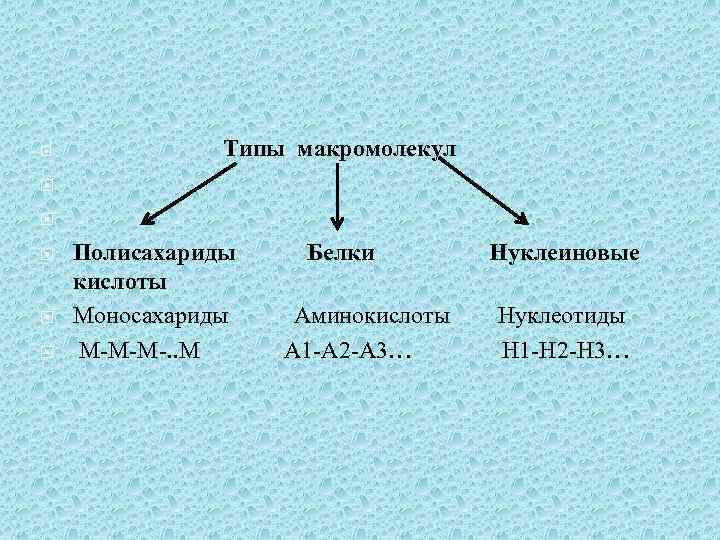  Типы макромолекул Полисахариды Белки Нуклеиновые кислоты Моносахариды Аминокислоты Нуклеотиды М-М-М-. . М А