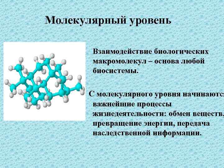 Обмен веществ молекулярного уровня