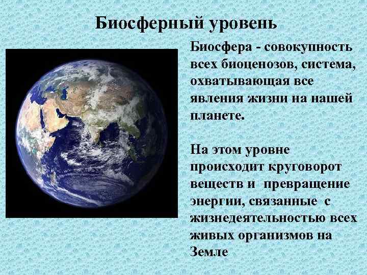 Биосферный уровень Биосфера - совокупность всех биоценозов, система, охватывающая все явления жизни на нашей