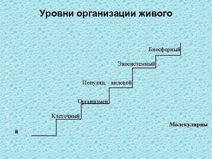 Уровни организации живого Биосферный Экосистемный Популяц. - видовой Организмен. Клеточный Молекулярны й 