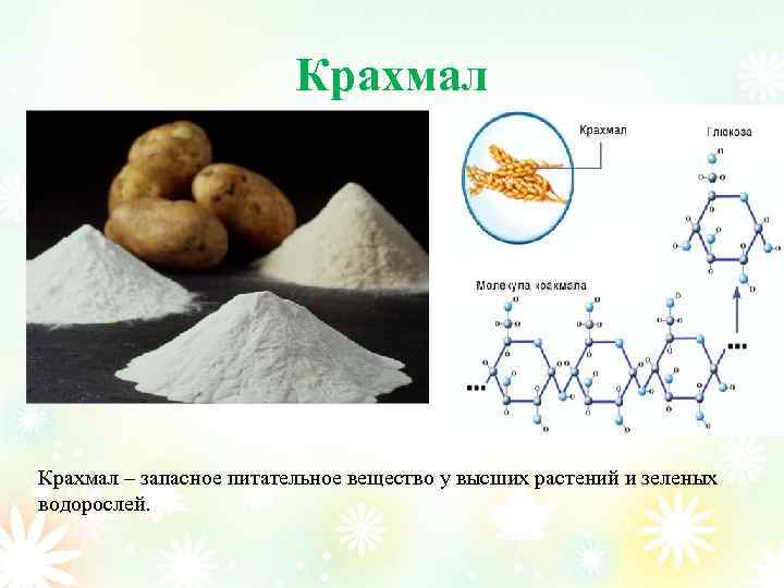 Крахмал – запасное питательное вещество у высших растений и зеленых водорослей. 