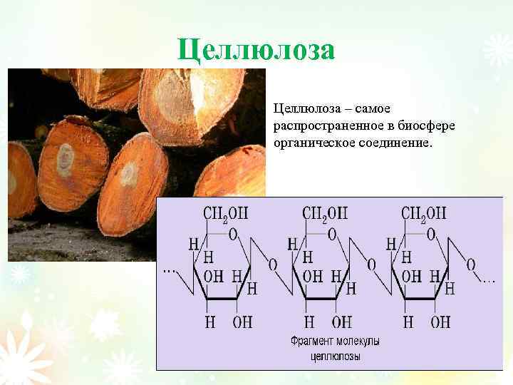 Целлюлоза – самое распространенное в биосфере органическое соединение. 