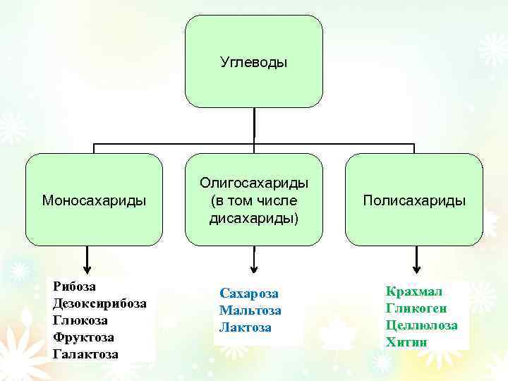 К моносахаридам относятся лактоза глюкоза дезоксирибоза сахароза