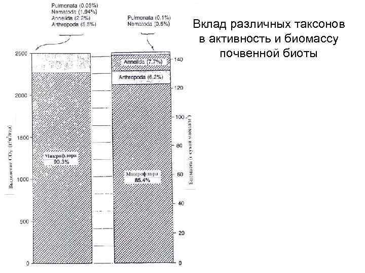 Вклад различных таксонов в активность и биомассу почвенной биоты 