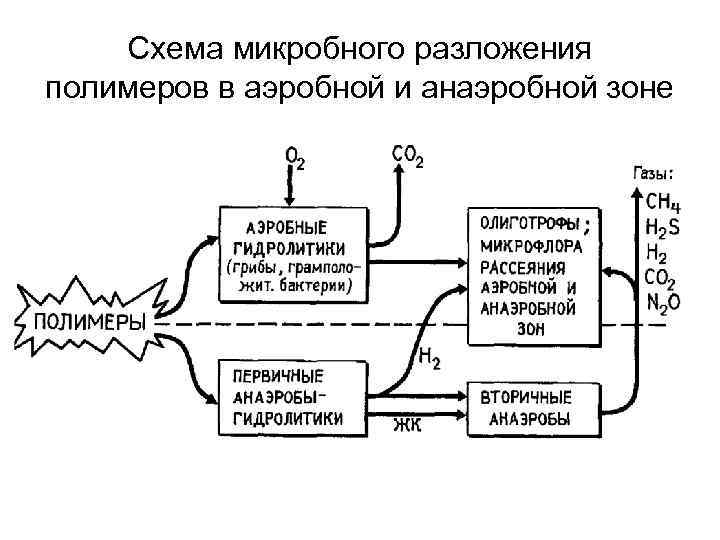 Схема микробного разложения полимеров в аэробной и анаэробной зоне 