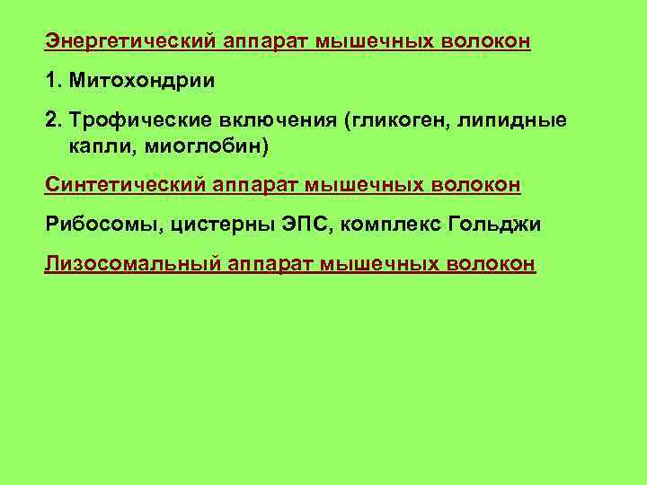 Энергетический аппарат мышечных волокон 1. Митохондрии 2. Трофические включения (гликоген, липидные капли, миоглобин) Синтетический