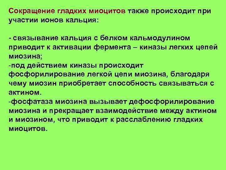 Сокращение гладких миоцитов также происходит при участии ионов кальция: - связывание кальция с белком