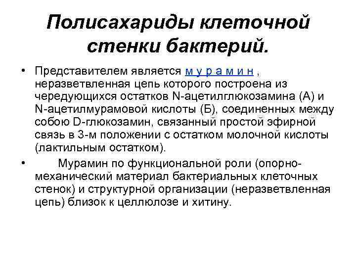 Является м. Полисахариды клеточной стенки. Полисахарид клеточной стенки бактерий. Полисахариды клеточной стенки растений. Мурамин полисахарид клеточной стенки бактерий состоит.