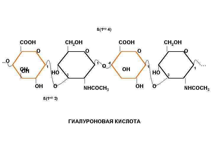 ß(1 COOH 4) CH 2 OH O O …O HO OH O ß(1 CH