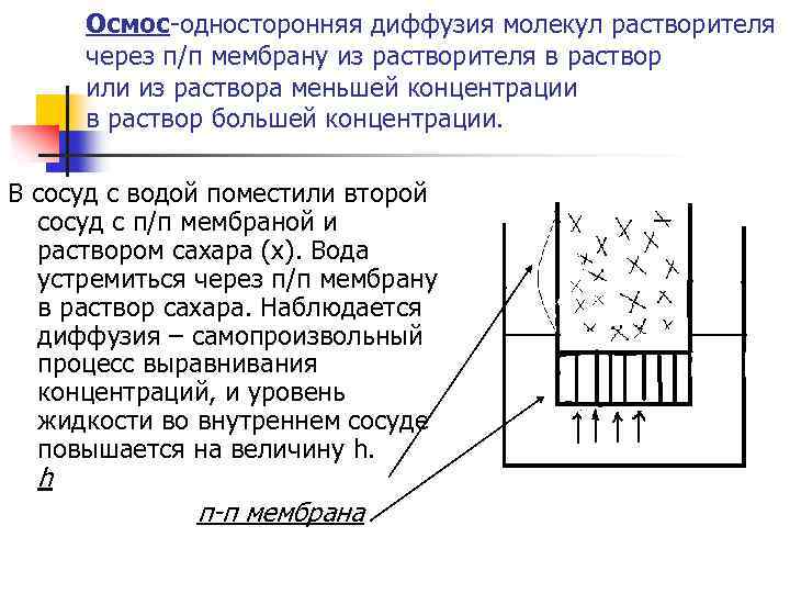 Осмос-односторонняя диффузия молекул растворителя через п/п мембрану из растворителя в раствор или из раствора