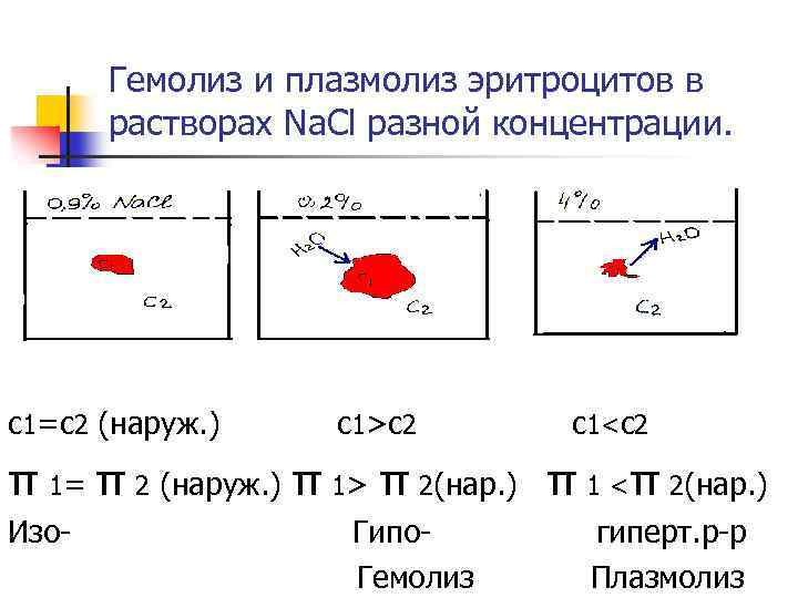 Гемолиз это. Плазмолиз эритроцитов происходит в растворе. Плазмолиз и гемолиз. Гемолиз и плазмолиз эритроцитов. Эритроциты в растворах разной концентрации.