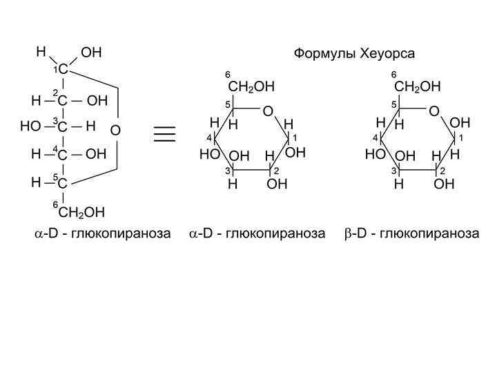 Моносахариды глюкоза презентация