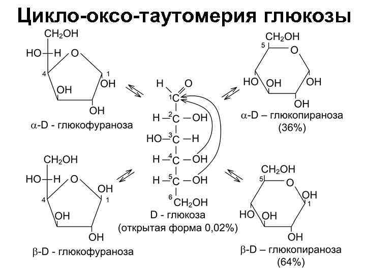 Таутомерия галактозы