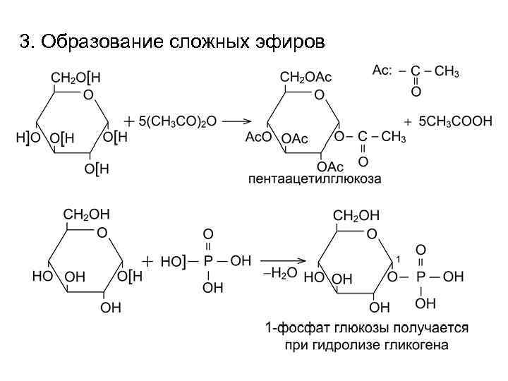 3. Образование сложных эфиров 