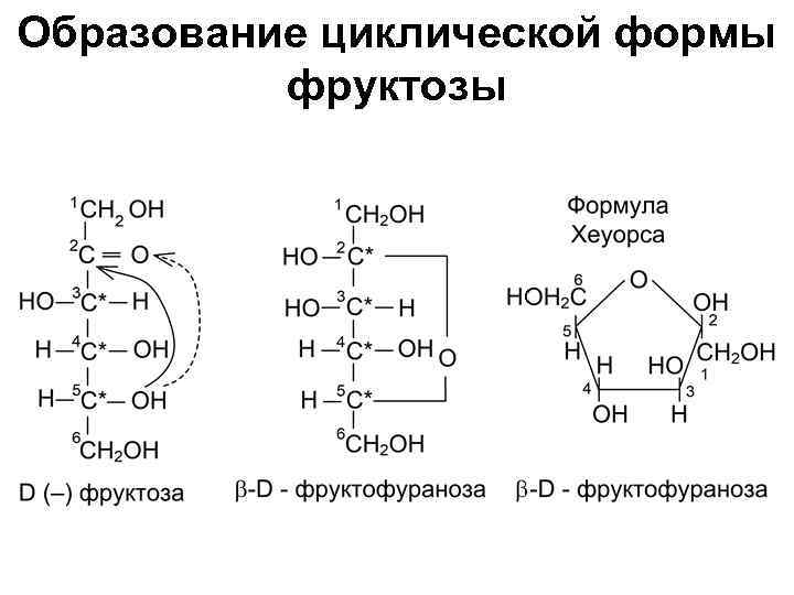 Образование циклической формы фруктозы 