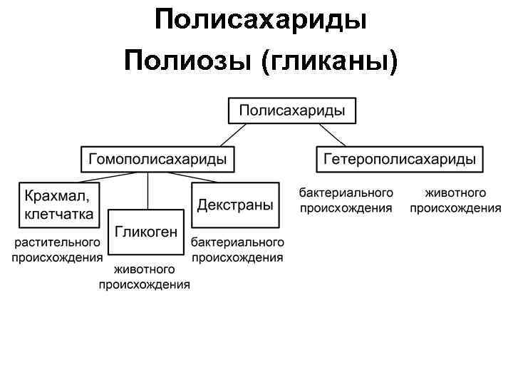 Полисахариды Полиозы (гликаны) 