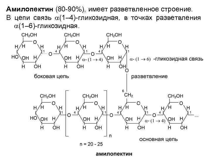 Амилопектин (80 -90%), имеет разветвленное строение. В цепи связь a(1– 4)-гликозидная, в точках разветвления