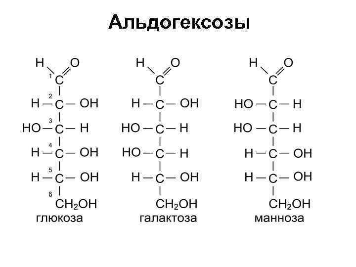 Моносахарид в фотосинтезе