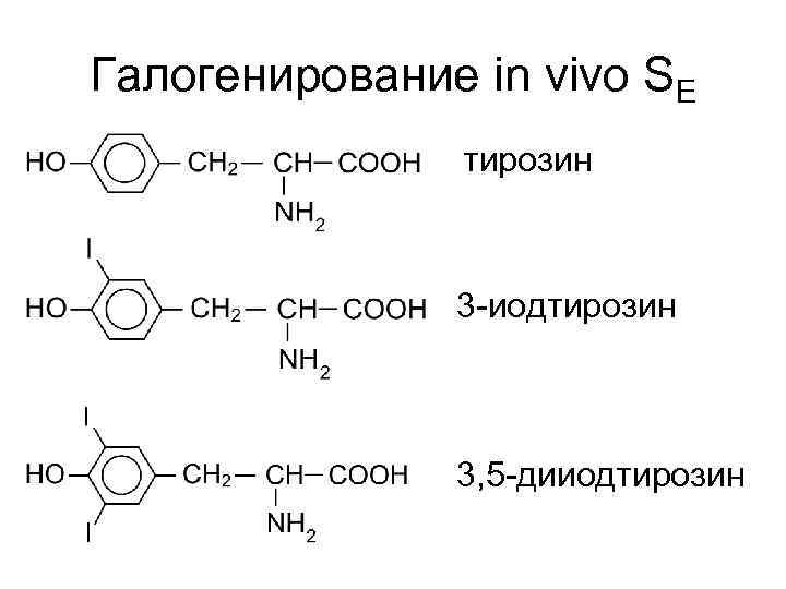 Галогенирование in vivo SE тирозин 3 -иодтирозин 3, 5 -дииодтирозин 