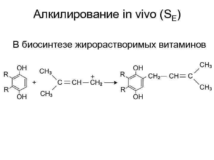 Алкилирование in vivo (SE) В биосинтезе жирорастворимых витаминов 