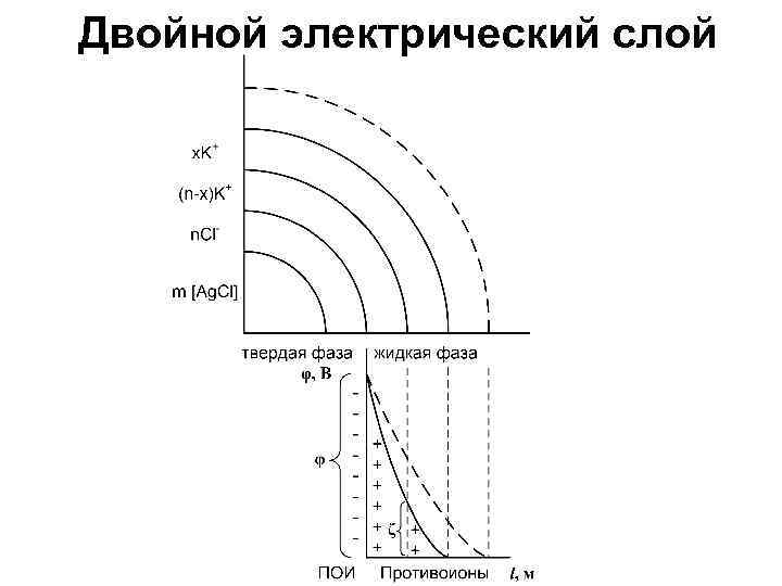 Двойной электрический слой 