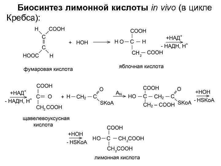 Биосинтез лимонной кислоты in vivo (в цикле Кребса): 
