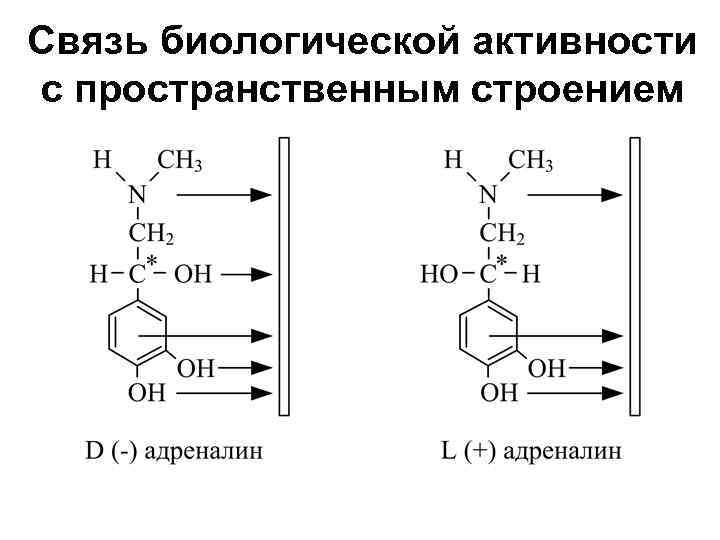 Связь биологической активности с пространственным строением 