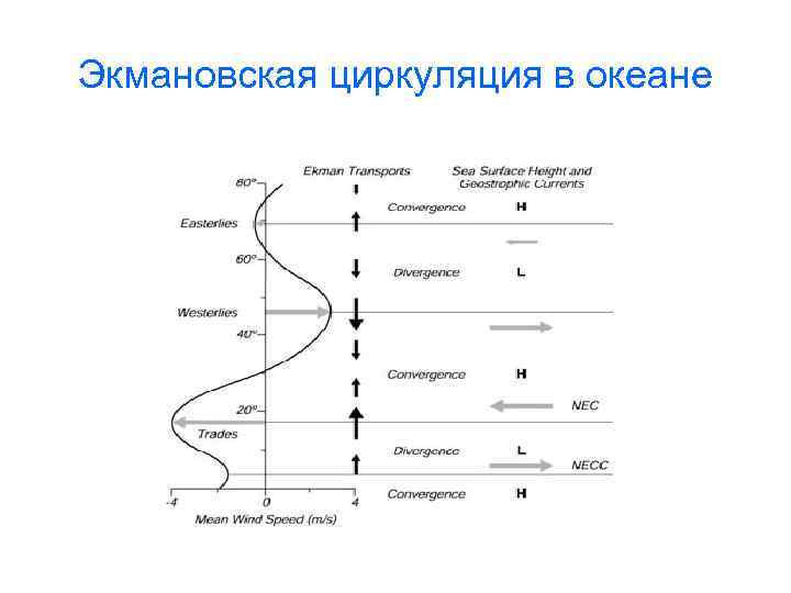 Экмановская циркуляция в океане 